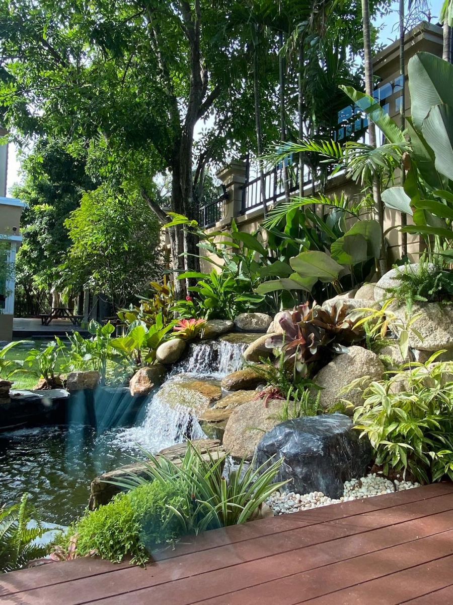 thiết kế sân vườn thác nước hồ koi